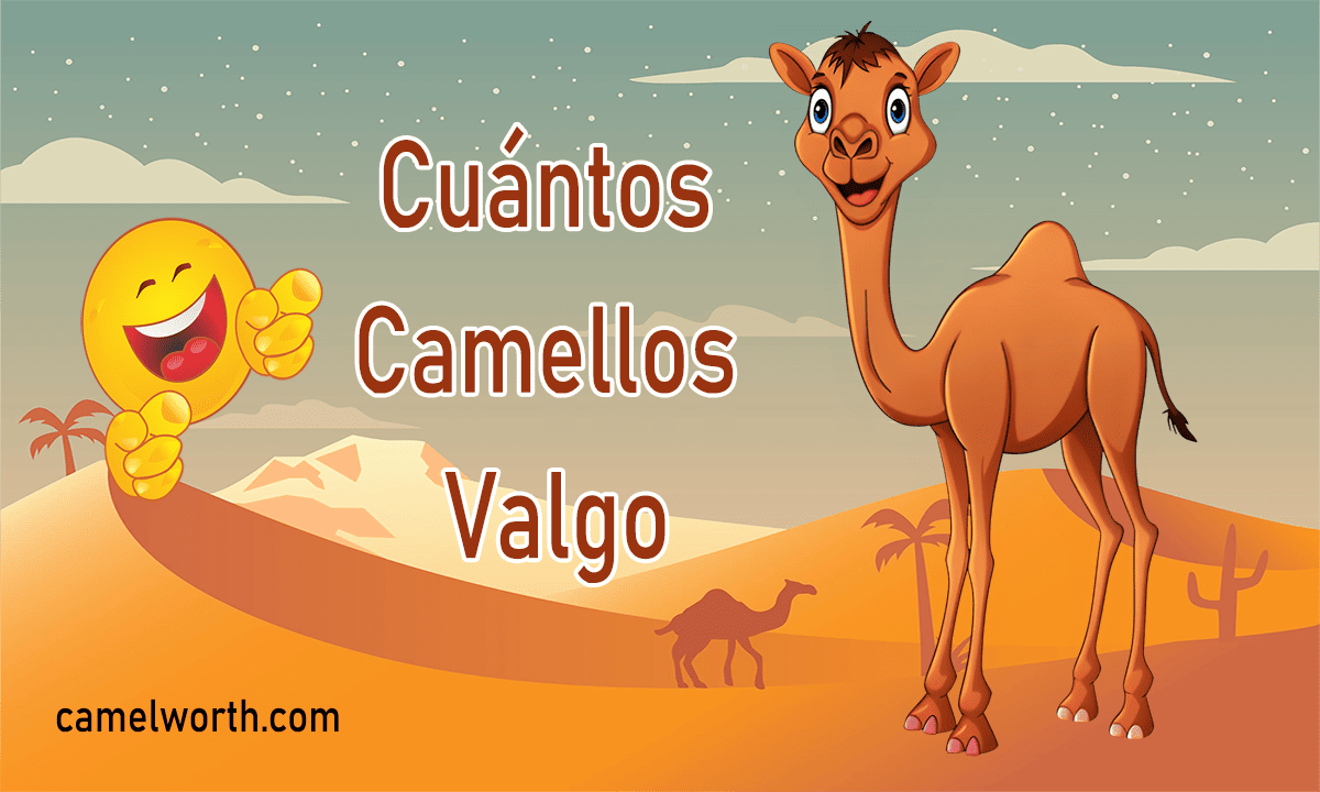 cuantos camellos valgo